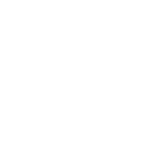 Bold Mind
