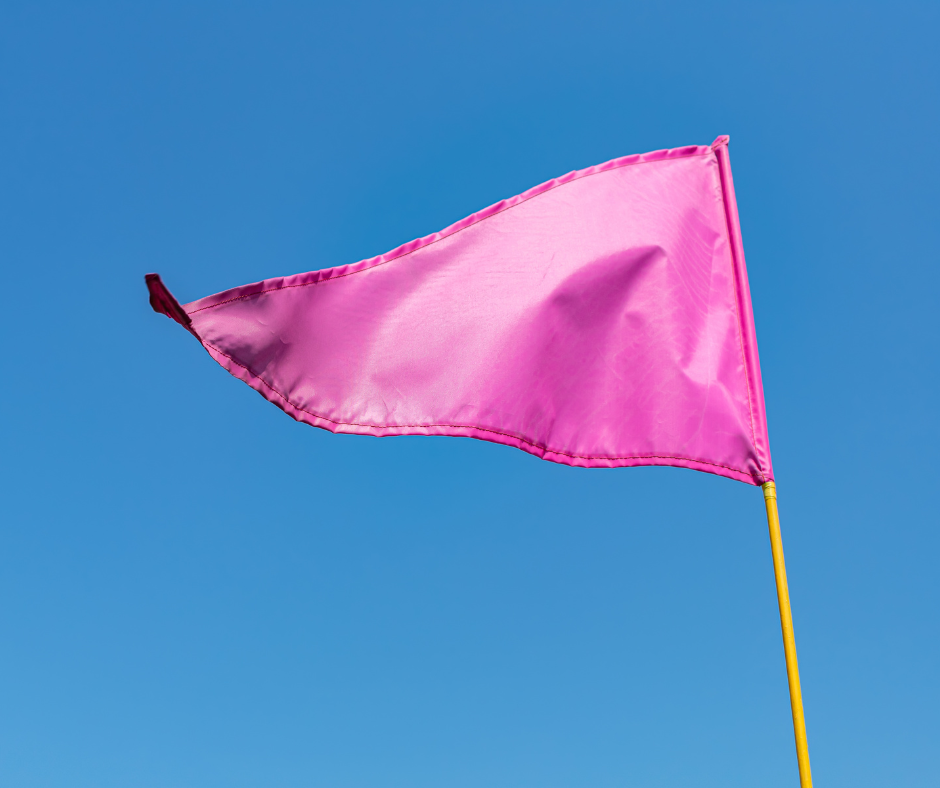 Pink Flags: Όταν Κάτι σε «Χαλάει» Αλλά Δεν Ξέρεις Ακόμα Γιατί | Bold Mind